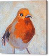 Robin Canvas Print