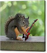 Rock 'n Roll Squirrel Canvas Print
