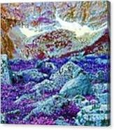 Rocky Mountain Boulders Canvas Print