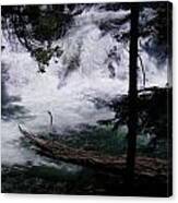Rogue River Canvas Print