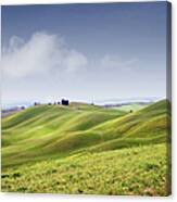 Rolling Hills With Rapeseed Canvas Print