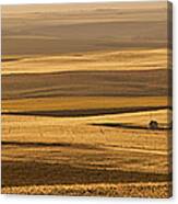 Rolling Prairie Landforms Canvas Print