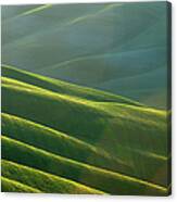 Rolling Tuscany Landscape At Evening Canvas Print