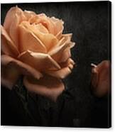 Romantic November Rose Canvas Print