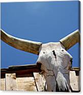 Roofline Skull 21905 Canvas Print