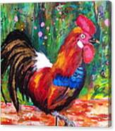 Rooster Closeup Canvas Print