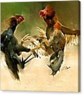 Rooster Fight Hd Canvas Print