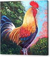 Rooster For Elaine Canvas Print
