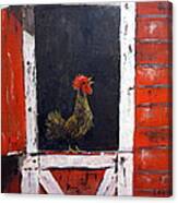 Rooster In Window Canvas Print