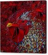 Rooster Red Canvas Print