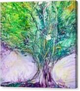 Rooted In Love Canvas Print