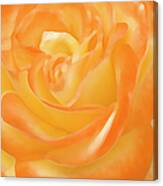 Rose Canvas Print