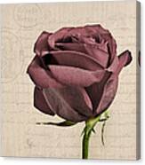 Rose En Variation - S02c3t3a Canvas Print