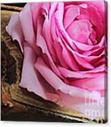 Rose In An Old Book Canvas Print