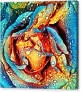 Rose Revisited Canvas Print