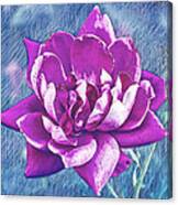 Rose Scratched Blues Canvas Print