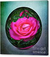 Rose Through The Glass Canvas Print