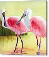 Roseate Spoonbills Canvas Print