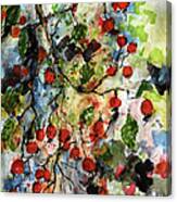 Rosehips By Ginette Watercolor And Ink Canvas Print