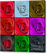 Roses 9 Ways Canvas Print