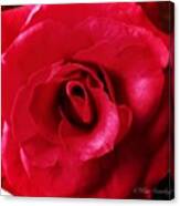 Roses Are Red, Violets Are Blue, Vodka Canvas Print