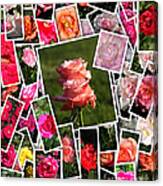 Roses Collage Canvas Print