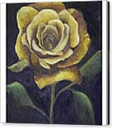 Royal Gold Bloom Canvas Print