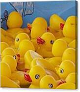 Rubber Ducky Your The One Canvas Print