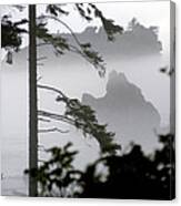 Ruby Beach Washington State Canvas Print