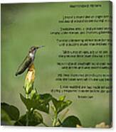 Ruby Throated Hummingbird Moment Canvas Print