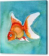 Ryukin Goldfish Canvas Print