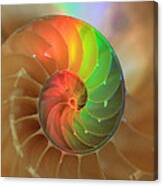 Sacred Spiral Rainbow Canvas Print