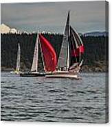 Sailboats And Mt Baker Canvas Print