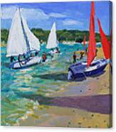 Sailing Boats Canvas Print