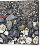 Sand And Rocks On Beach Canvas Print