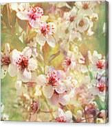 Sand Cherry Flourish Canvas Print