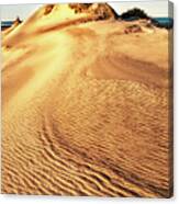 Sand Dune Textures - Outer Banks I Canvas Print
