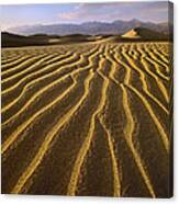 Sand Dunes Death Valley California Canvas Print