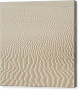 Sand Dunes In Poland Canvas Print