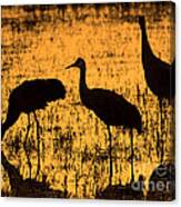 Sandhill Crane Silhouette Canvas Print