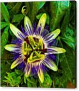 Saw This Flower In The Garden Of A Canvas Print