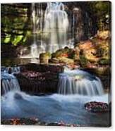 Scalber Force Canvas Print