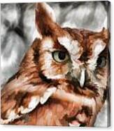 Screech Owl Photo Art Canvas Print