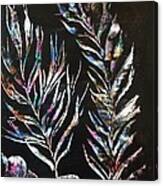 Sea Ferns Canvas Print