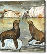 Sea Lions Canvas Print