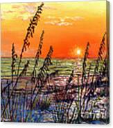 Sea Oats Sunset Canvas Print