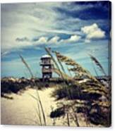 Sea Oats
#ponceinlet #florida #beach Canvas Print