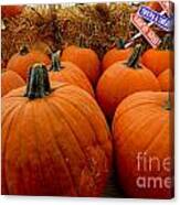 Sea Of Pumpkins Canvas Print