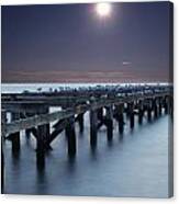 Seagull Hangout Canvas Print