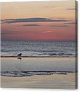 Seagull Strolls The Seashore Canvas Print